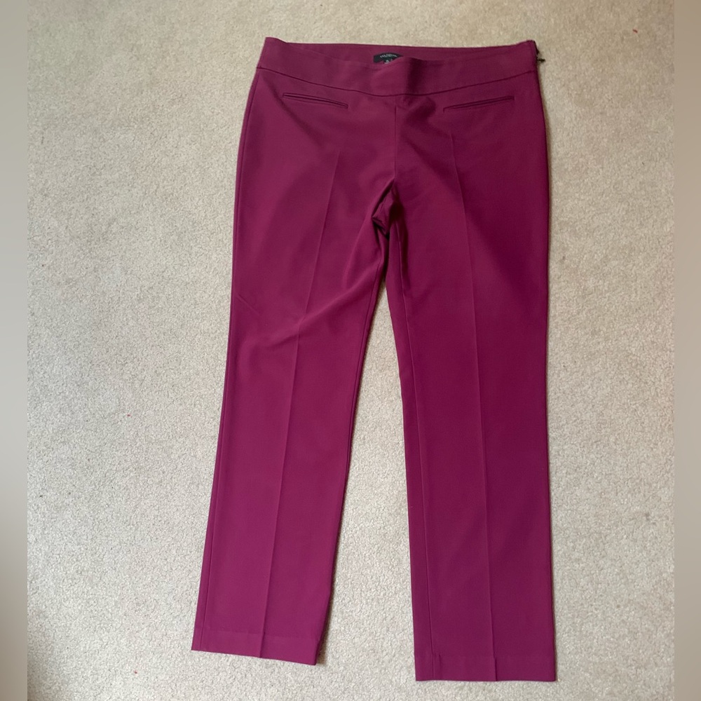 Ann Taylor Dress pants